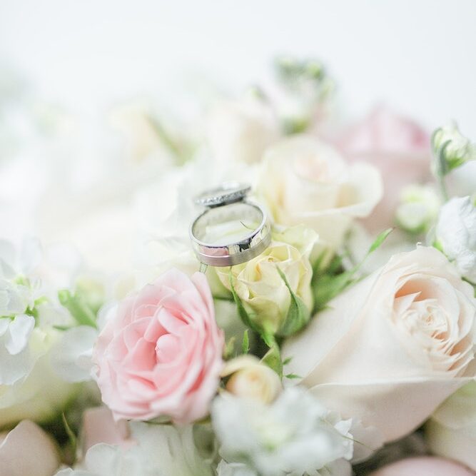 rings on roses portrait rings on roses portrait